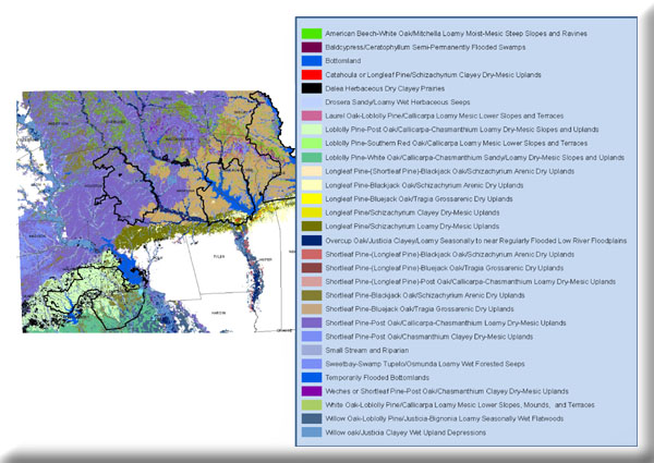 thematic map