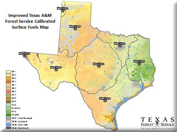 TFS Surface Fuels Map
